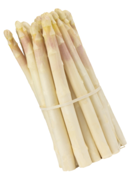 Botte d'asperges