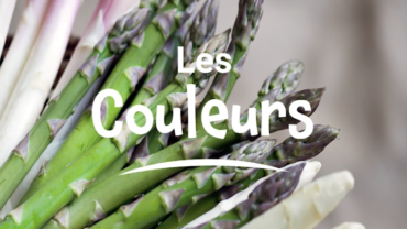 2633CULTURE ASPERGES : LE CALIBRAGE