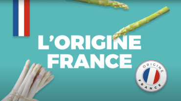 2660La saison des asperges françaises