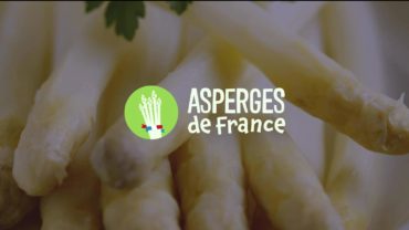 2763Portrait – L’Asperge de France est simple à préparer et à cuisiner